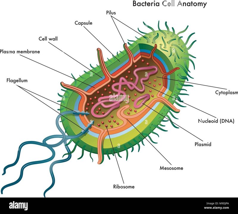 Image: Introduction Image: Introduction